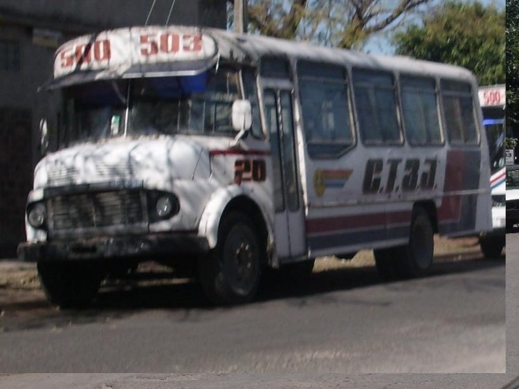 COOP. 3 DE JULIO  20
C.1300081   TGI 077 
coche 20 de la coop 3 de julio de zarate lineas 500 y 503
Palabras clave: coop 3 de julio 20