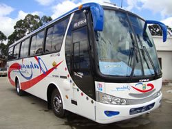 Carrocerias Olimpica
imagen extraida de : www.olimpicalatacunga.com
Palabras clave: Carrocerias Olimpica