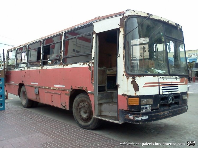 Mercedes-Benz OF 1214 - Colonnese
M 255986 - TLG 388
Transportando verduras en Monte Hermoso, Buenos Aires.
Palabras clave: Fram