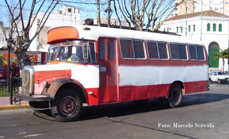 Alcorta Mercedes Benz LO911
J.042295 - UHA003
http://galeria.bus-america.com/displayimage.php?pos=-15157
http://galeria.bus-america.com/displayimage.php?pos=-15215
