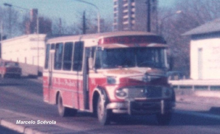 Micro Omnibus Primera Junta
