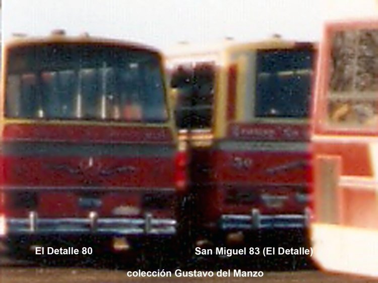 DIFERENCIAS ENTRE EL DETALLE Y EL SAN MIGUEL/DETALLE
