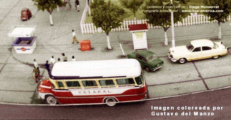 Bedford J6LZ1 - Andreolli y D`Alessandro - C.O.T.A.P.A.L.
http://galeria.bus-america.com/displayimage.php?pos=-17749
Fotografía de : ¿? , editada de toma mayor por Bus América, y coloreada por Gustavo del Manzo
Colección : Diego Monserrat & cosquinantiguo.blogspot.com

Para conocer la história de esta empresa acceda al siguiente vínculo:
http://revista.bus-america.com/Notas/COTAPAL.htm 
