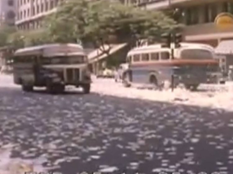 EDITADO DEL VIDEO PRESENTADO POR FREEWHEEL
[Datos de derecha a izquierda]
