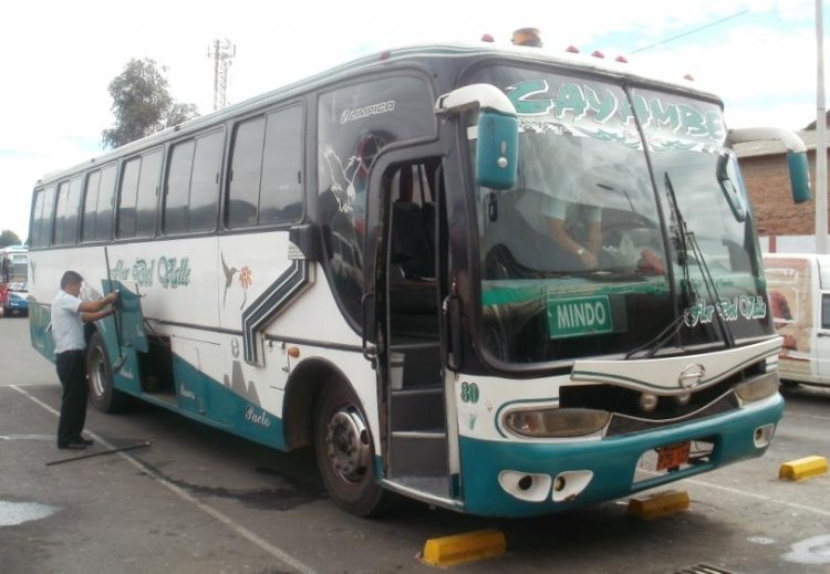 Olímpica - Flor del Valle - Cayambe 30
Palabras clave: Cayambe Flor del Valle Hino Olímpica