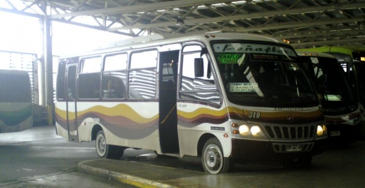 Peñaflor
BVZZ35
Palabras clave: Peñaflor