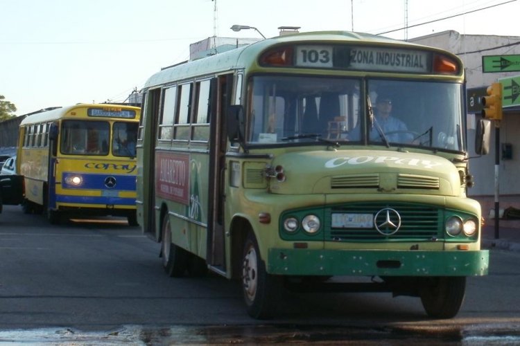 Copay - 126
ITC 1049
http://galeria.bus-america.com/displayimage.php?pos=-1841
http://galeria.bus-america.com/displayimage.php?pos=-1842
Puede verse mas información sobre esta carrocería en http://www.busarg.com.ar/may08_banda.htm
Palabras clave: Copay 1113 Cutcsa