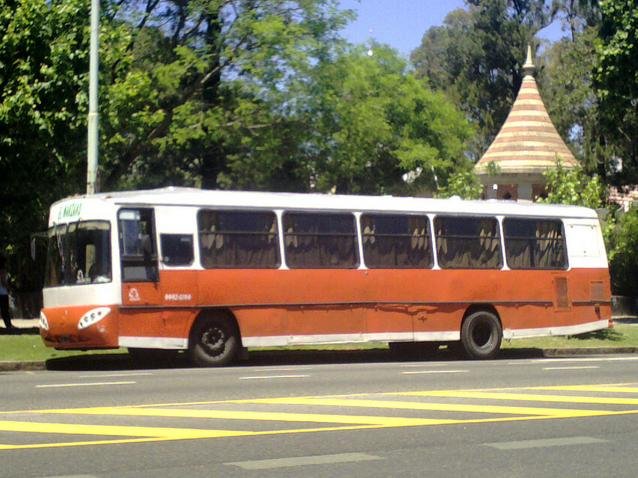 Escolar
Palabras clave: C.E.A.P.