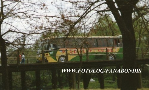 El Detalle OA 101 - La Flor de Luján S.R.L.
Lineas 256/500 (Comunal de Luján) - Interno 30
Foto extraida de http://ar.fotolog.com/fanabondis/
Palabras clave: Detalle Luján 256 500