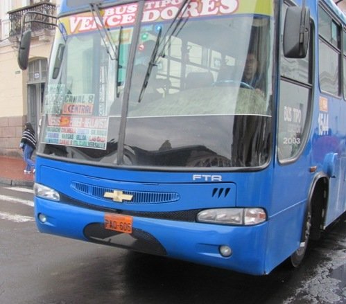 Chevrolet Isuzu FTR Carroceria Alvarado 2003
PAO606
