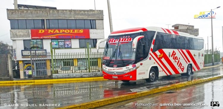 HINO AK - AUSTRAL - REINA DEL CAMINO , MOVIL #53
REINA DEL CAMINO #53
Palabras clave: HINO AK AUSTRAL REINA DEL CAMINO MOVIL #53