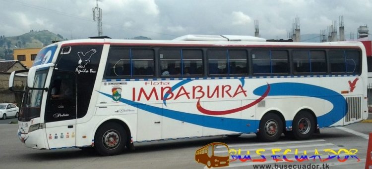 Mercedes Benz Carroceria Busscar Jum Bus (En ECUADOR)
Flota Imbabura

Palabras clave: Mercedes Benz Carroceria Busscar Jum Bus (En ECUADOR)