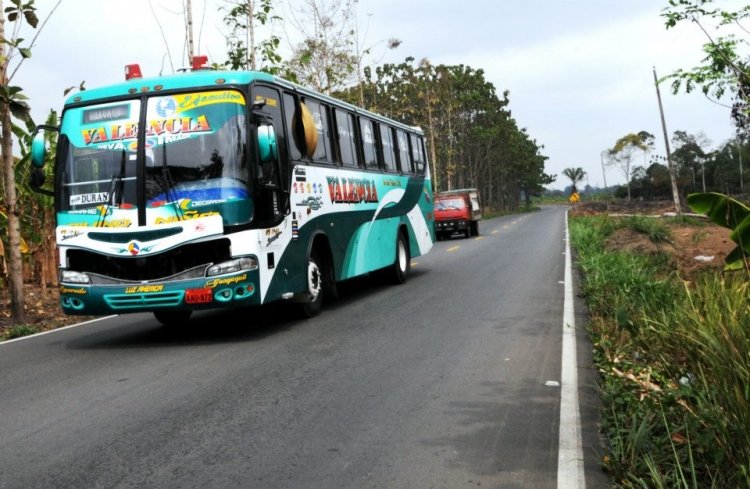 Mercedes Benz OF 1721 Carroceria Picosa
Trans Valencia
Imagen : Hugo Echeverria
Palabras clave: Mercedes Benz OF 1721 Carroceria Picosa