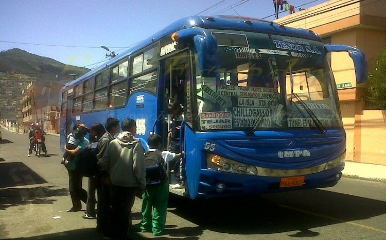 Mercedes Benz OF 1721 Carroceria IMPA
Bus Tipo Coop Tesur
PAA - 9001 
Palabras clave: Mercedes Benz OF 1721 Carroceria IMPA