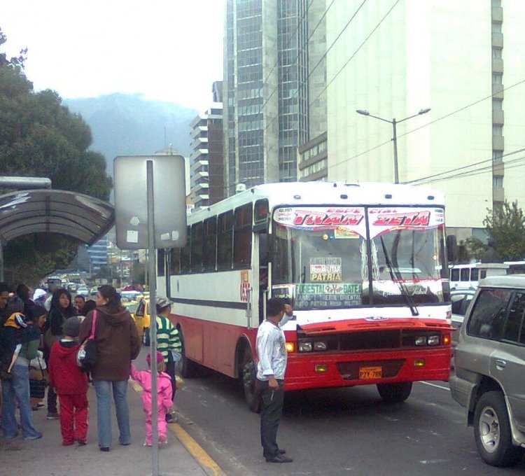 Hyundai Carroceria Pillapa
PZY789
Bus Urbano Quito Servicio Especial Coop Trans Zeta
Palabras clave: Hyundai Carroceria Pillapa