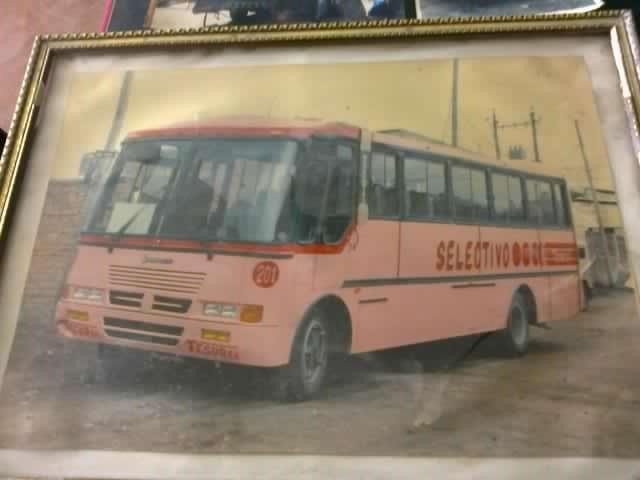 Internacional 1652 Motor Nissan 175 Carroceriia El Busscarito
Unidad de la coopertativa TESUR 
Corte Original de Pintura de la Coop Tesur
IMAGEN : CARROCERIAS BUSSCARITO
Palabras clave: Internacional 1652 Motor Nissan 175 Carroceriia El Busscarito