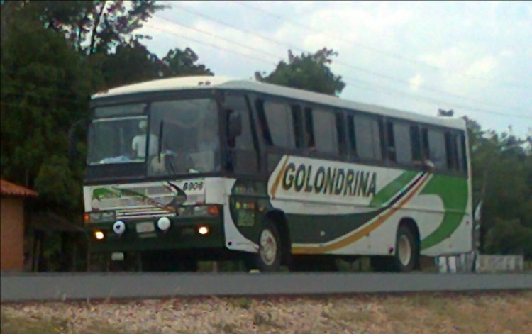 Mercedes-Benz OF - Comil Condottiere 3.20 (en Paraguay) - Golondrina
