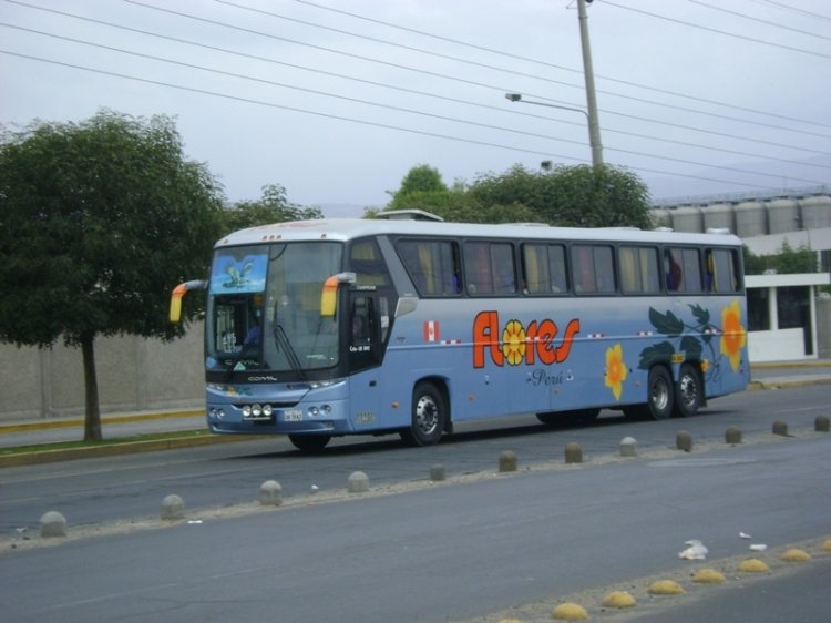 Comil 3.65(en Peru) TRANSPORTES FLORES HNOS
JORGE MIGUEL ABSI GUIDO
e mail:jabsi86@gmail.com
www.flogao.com.br/norpacifico
Palabras clave: FLORES HNOS