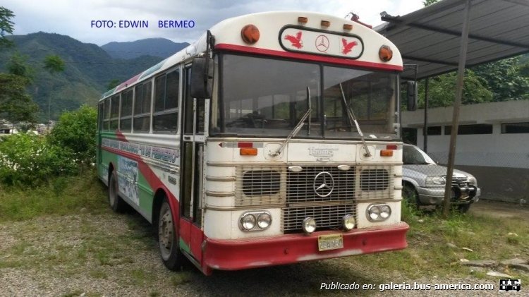 Mercedes-Benz OF 1113 - Thomas - Escolar
Escolar

Fotografía: Edwin Bermeo
Palabras clave: Un clasico de los clasicos