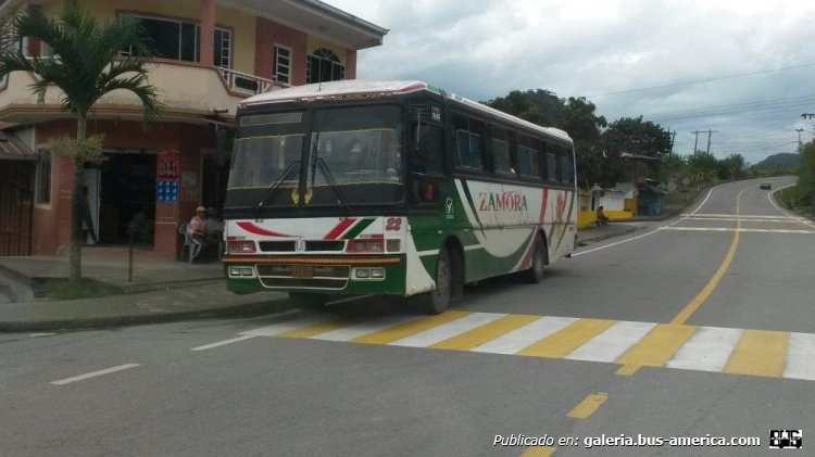 Mercedes-Benz OF 1318 - Busscar El Buss 320 (en Ecuador) - Zamora
Foto: Edwin Bermeo
Palabras clave: Antiguo