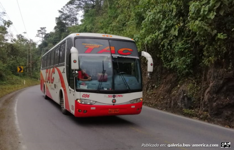 Scania K 124 IB - Marcopolo G6 Paradiso 1200 (en Ecuador) - T.A.C.
¿GBI 0763?

Transportes Asociados Cantonales.

Palabras clave: GBI-0763