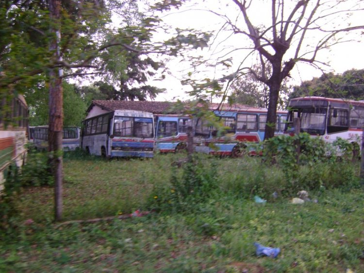 Mercedes-Benz OF - Caio Amelia / Alpha (en Paraguay) - San José , El Inter
Fotografia: Dear
Deposito de BNF
Palabras clave: MB