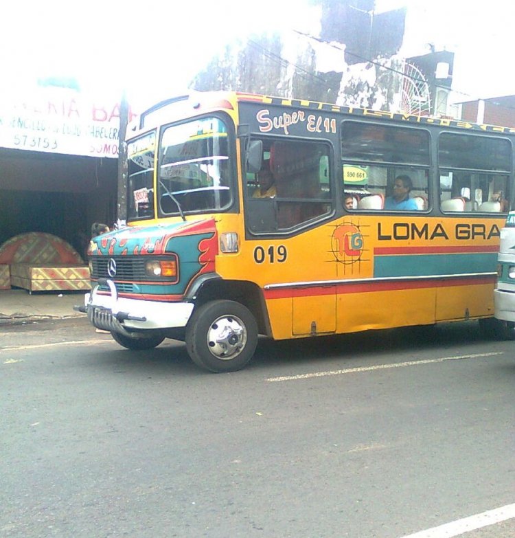 Mercedes-Benz L 711 Plus - El 11 , Loma Grandense S.R.L.
Fotografia: Dear
Palabras clave: MB