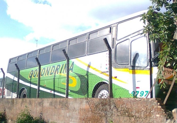 Arbus - Eurobus (en Paraguay) - Golondrina
Con frente reformado, este bus ya esta en la Web, pero en esta pagina no lo he visto.
Palabras clave: Eurobus