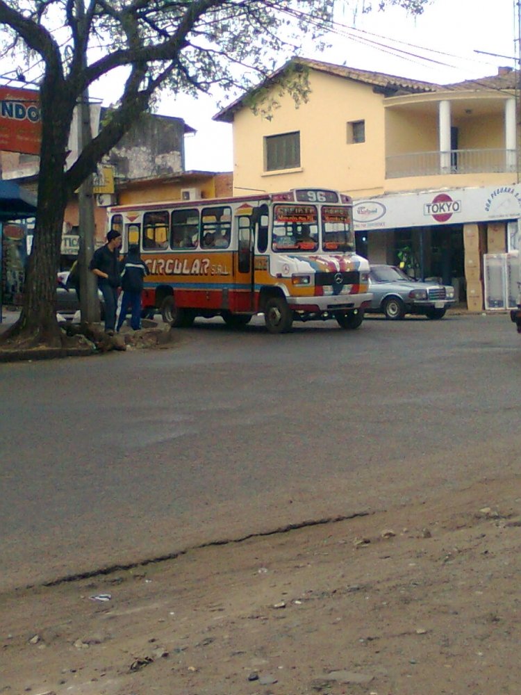 Mercedes-Benz L 709 - El Flaco - Linea 96 , Circular S.A.
Palabras clave: MB