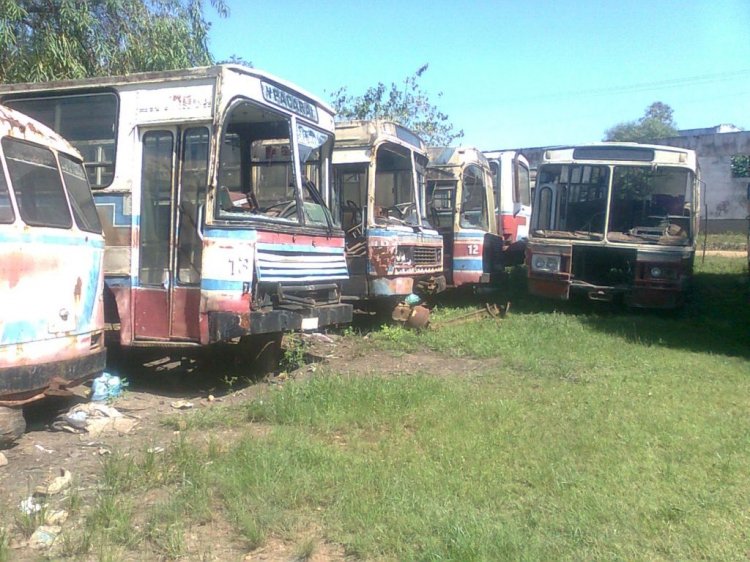 Mercedes-Benz LPO 1113 - Marcopolo San Remo (en Paraguay) - Empresa Ypacaraiense (desaparecida linea)
Fotografia: Dear
Palabras clave: MB