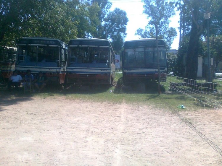 Mercedes-Benz Of 1318 - Caio Alpha (en Paraguay) - Linea 242 , Ypacaraiense S.R.L.
Fotograifa: Dear
Palabras clave: MB