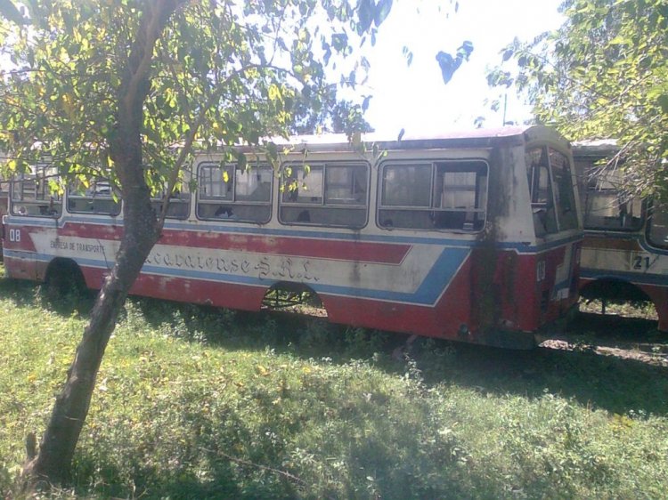 Bus Ypacaraiense, abandonado 
Fotografia: Dear
Palabras clave: MB