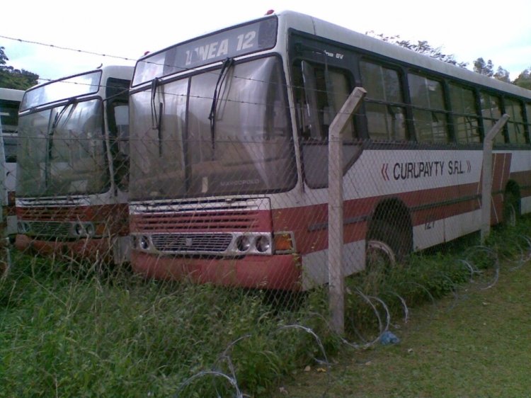 Mercedes-Benz OF 1318 - Marcopolo Torino GV (en Paraguay) - Linea 12 , Curupayty S.R.L.
Fotografia: Dear
Buses embargados por el BNF
Palabras clave: MB