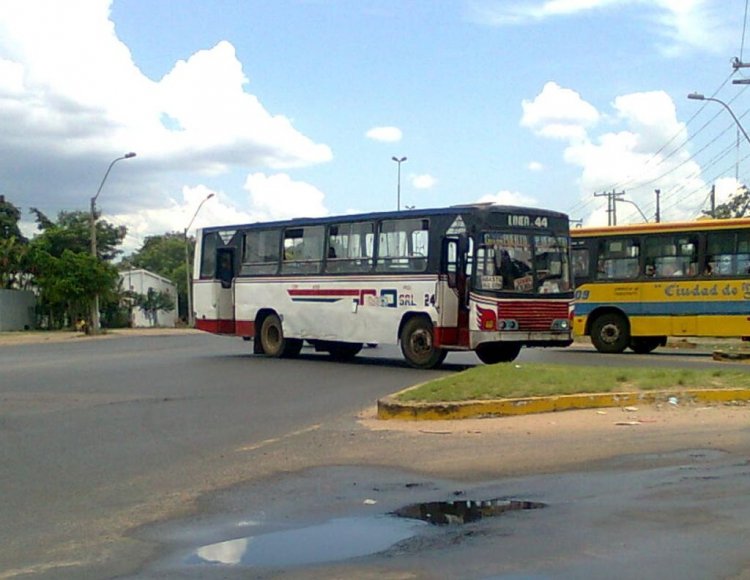 Mercedes-Benz LPO 1113 - Marcopolo San Remo (en Paraguay) - Linea 44 , CMRA
http://galeria.bus-america.com/displayimage.php?pos=-17576
Fotografia: Dear
Palabras clave: MB