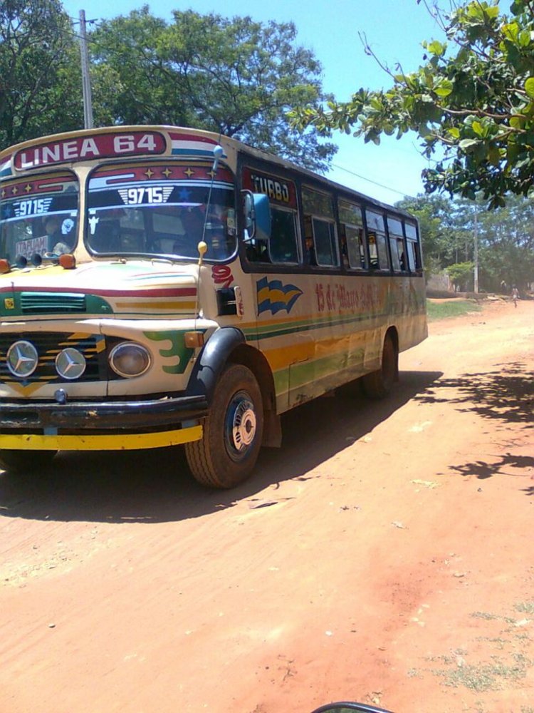 Mercedez-Benz L 1113 - Cebra - 15 de Mayo SRL
Fotografia: Dear
Palabras clave: MB