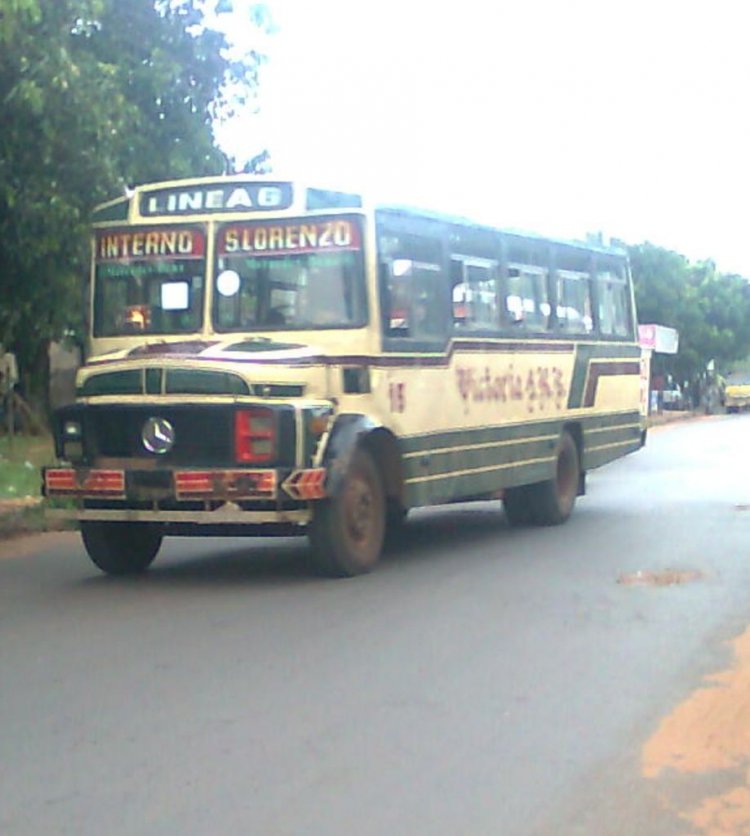 Mercedes-Benz L 1113 - El 14 - linea 6 , Victoria S.A.
Palabras clave: MB