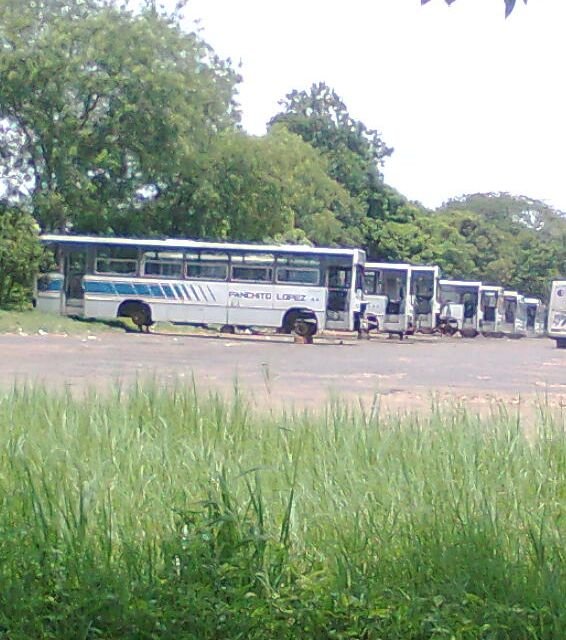 Mercedes-Benz OF 1318 - Marcopolo Torino G4 (en Paraguay) - Panchito Lopez , Linea 29
Parque automotor de la linea 29 en desuso
Fotografia: Dear
Palabras clave: MB