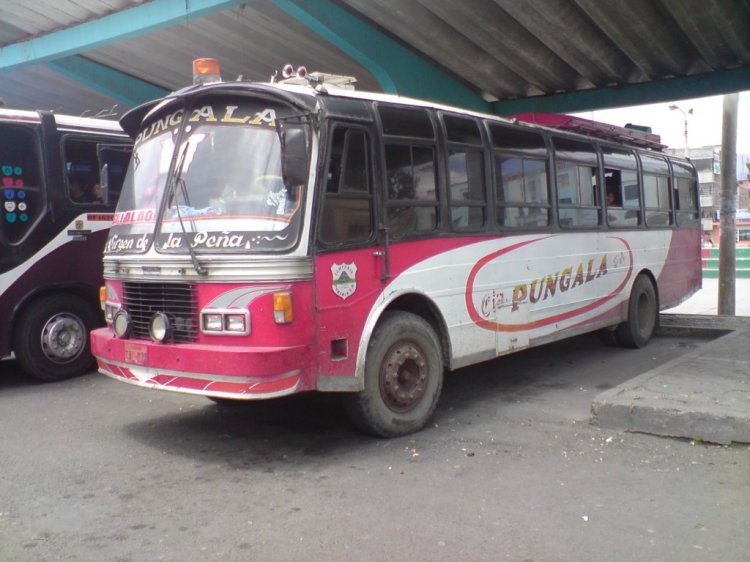 Mercedes-Benz - Camenu - Pingala
¿TAL071?
Una particularidad de este bus que el volante y el asiento del chofer lo tiene casi pegado al parabrisas
