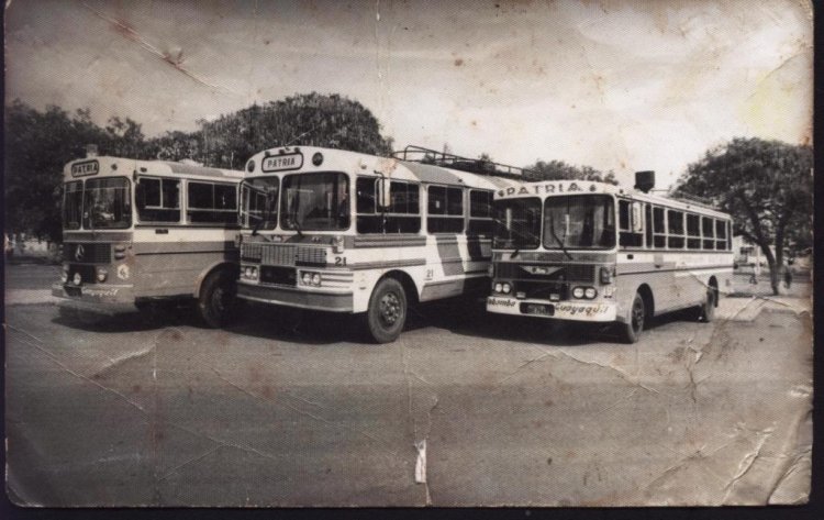 Buses Transportes Patria años 80s
