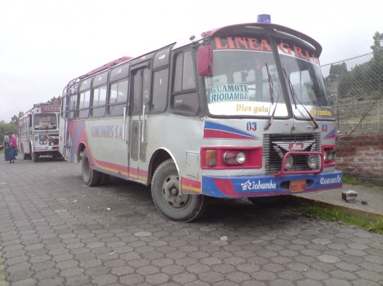 El Busscarito-Hino FD
PZD-786
