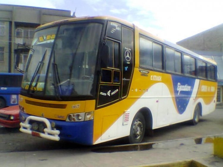 Olimpica-Mercdes Benz-Aray
