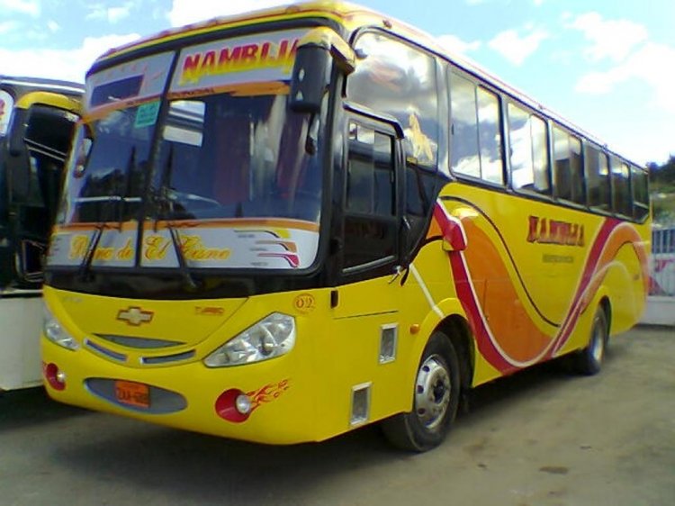 Altamirano-Isuzu FTR
