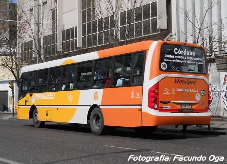 CONIFERAL 129
¿IXT035?
Palabras clave: CONIFERAL 129