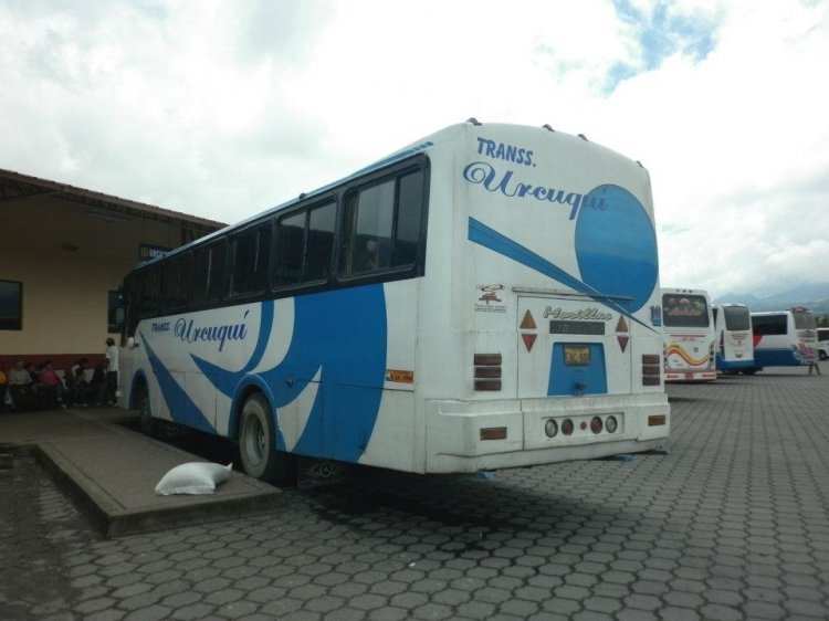 Mercedes-Benz OF - Morilla (en Ecuador) - Transp. Urcuqui
EAC998
http://galeria.bus-america.com/displayimage.php?pos=-19356

imagen extraido del facebook de bus a escala flota imbabura
