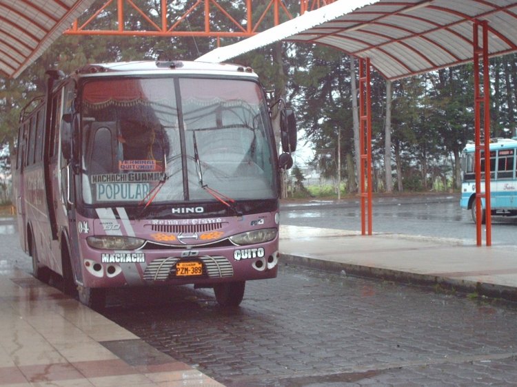 PZM389
