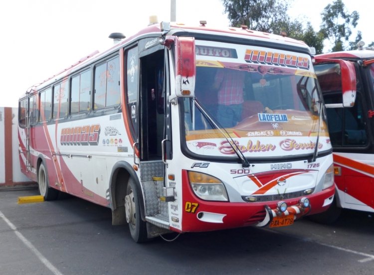 Alvarado - Hino FG - Minas

