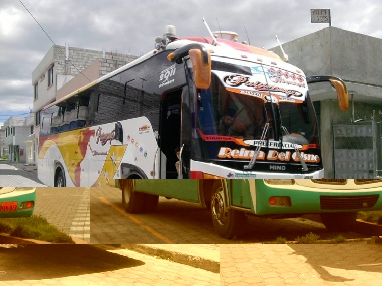 azul 25
