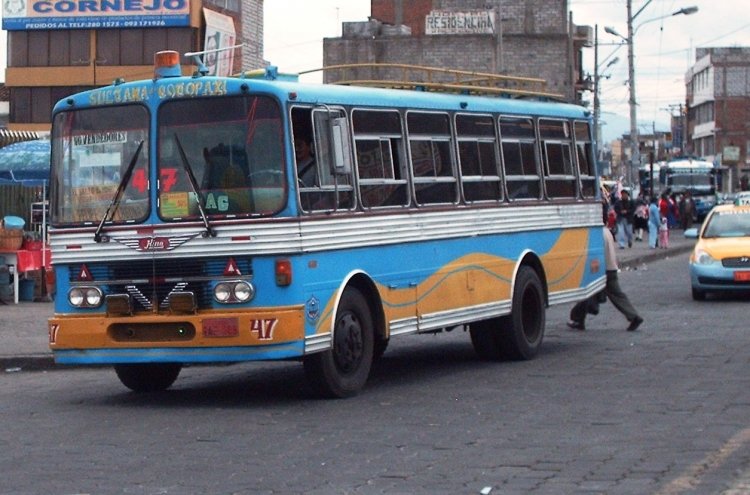 z~8.JPG
