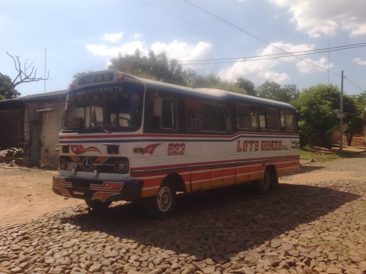 Mercedes-Benz LP 808 D - VICTOR
