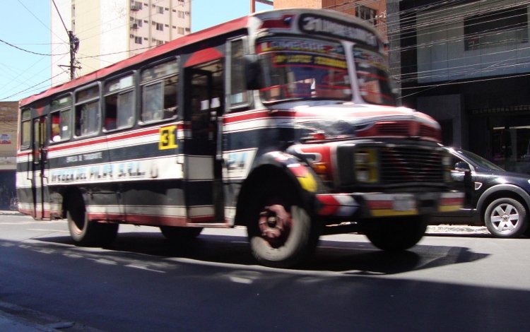 Mercedes-Benz L 1113 - Cebra I - Virgen del Pilar , Linea 31
(ex patente LAMBARE ¿ICK? 0390819)
http://galeria.bus-america.com/displayimage.php?pid=9093
